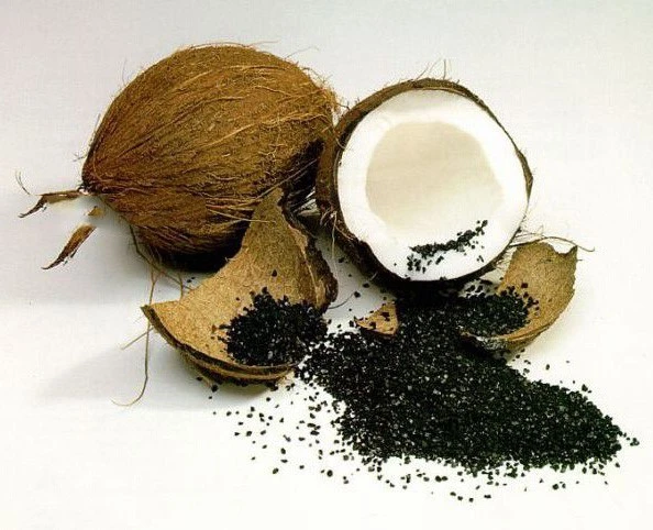Coconut Shell Activated Carbon Coconut Shell Activated Carbon